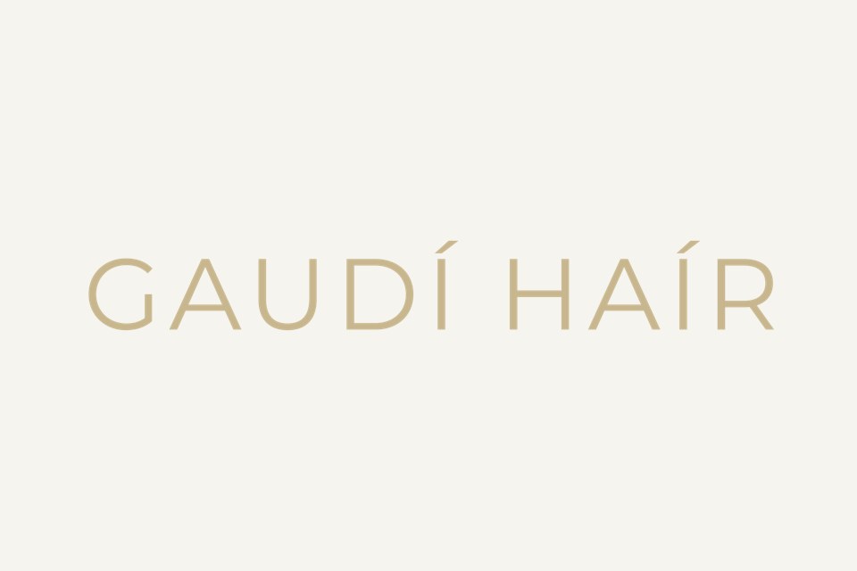 Gaudi Hair